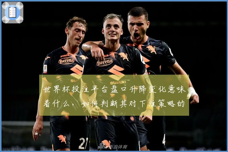 世界杯投注平台盘口升降变化意味着什么，如何判断其对下注策略的影响？