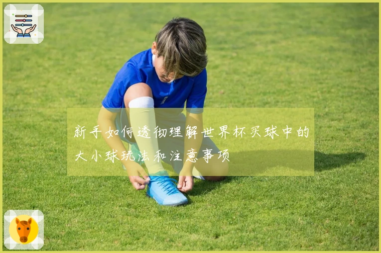新手如何透彻理解世界杯买球中的大小球玩法和注意事项