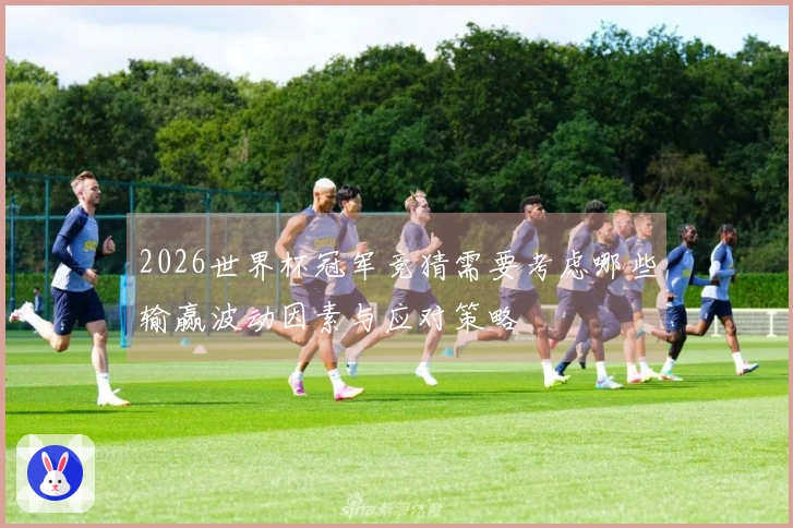 2026世界杯冠军竞猜需要考虑哪些输赢波动因素与应对策略
