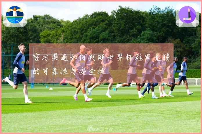 官方渠道如何判断世界杯冠军竞猜的可靠性与安全性