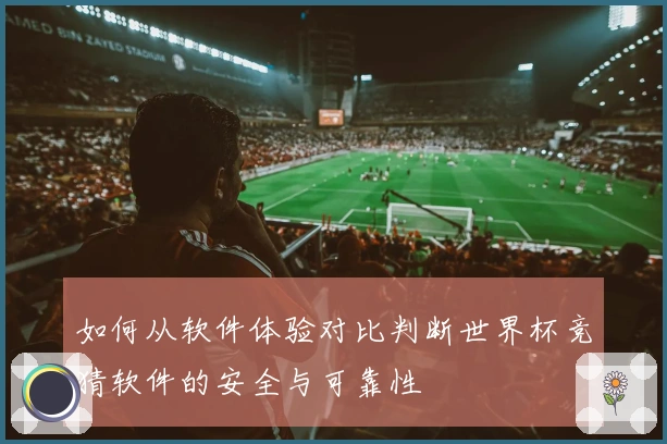 如何从软件体验对比判断世界杯竞猜软件的安全与可靠性