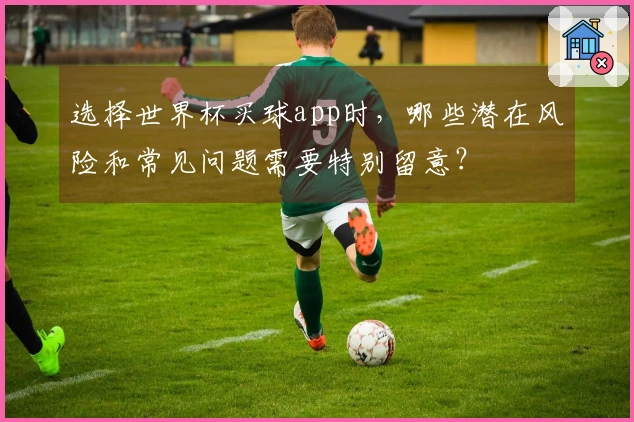 选择世界杯买球app时，哪些潜在风险和常见问题需要特别留意？