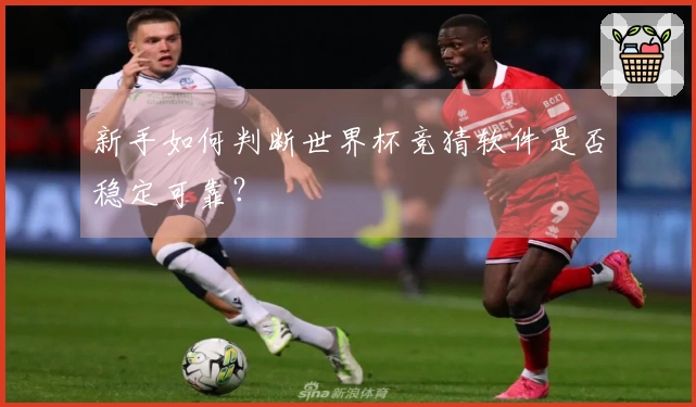 新手如何判断世界杯竞猜软件是否稳定可靠？