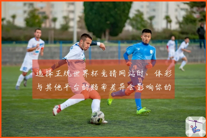 选择正规世界杯竞猜网站时，体彩与其他平台的赔率差异会影响你的决策吗？