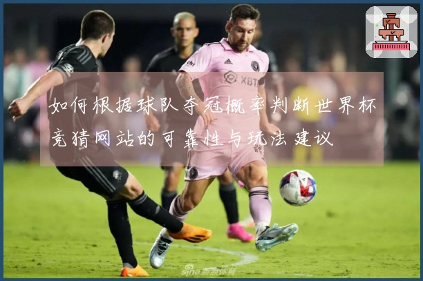 如何根据球队夺冠概率判断世界杯竞猜网站的可靠性与玩法建议