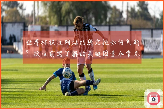 世界杯投注网站的稳定性如何判断？投注前需了解的关键因素和常见问题解答