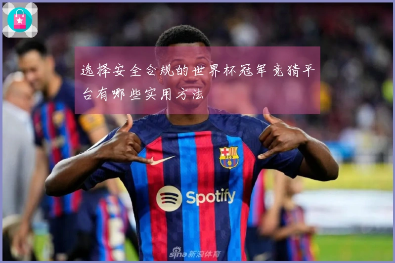选择安全合规的世界杯冠军竞猜平台有哪些实用方法