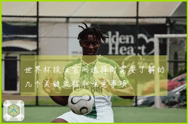 世界杯投注官网选择时需要了解的几个关键流程和注意事项