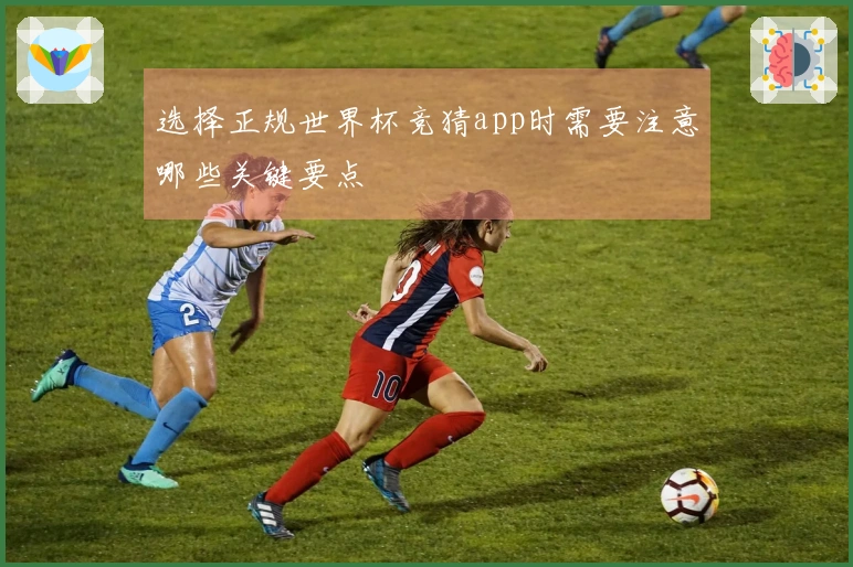 选择正规世界杯竞猜app时需要注意哪些关键要点