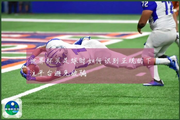 世界杯买足球时如何识别正规的下注平台避免被骗