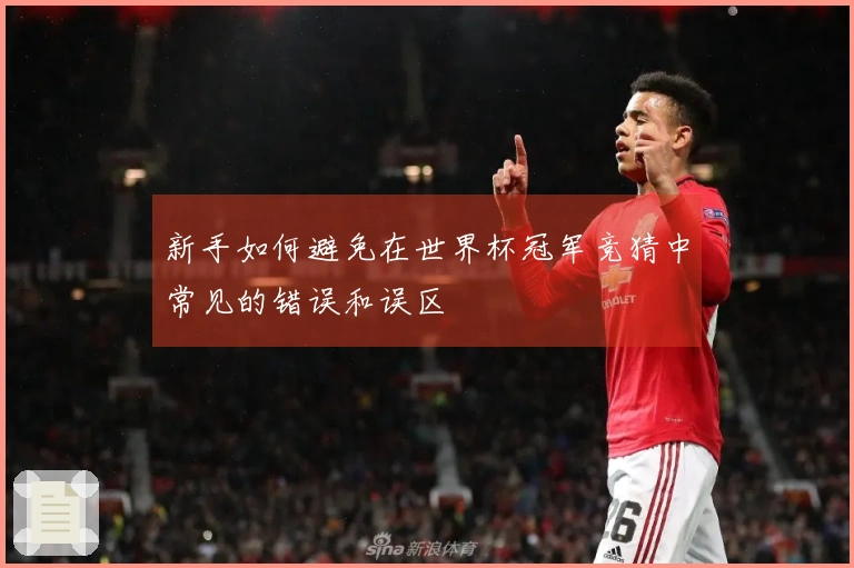 新手如何避免在世界杯冠军竞猜中常见的错误和误区