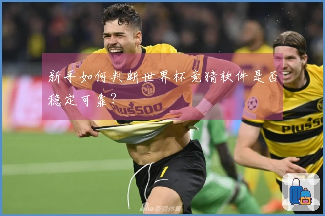 新手如何判断世界杯竞猜软件是否稳定可靠？