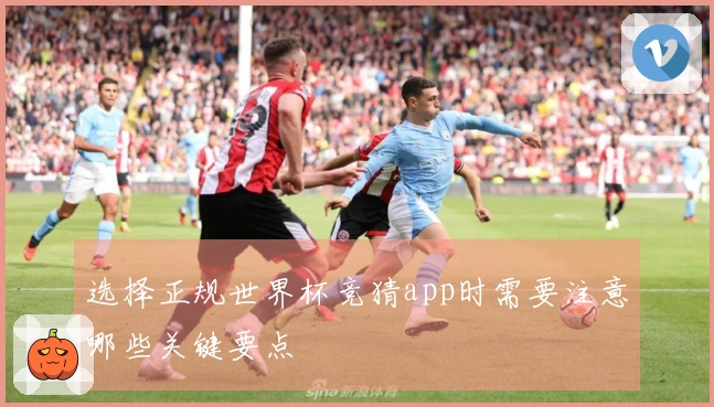 选择正规世界杯竞猜app时需要注意哪些关键要点