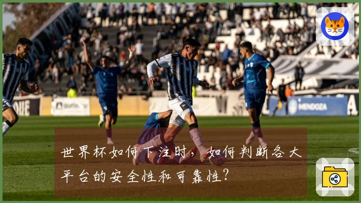 世界杯如何下注时，如何判断各大平台的安全性和可靠性？