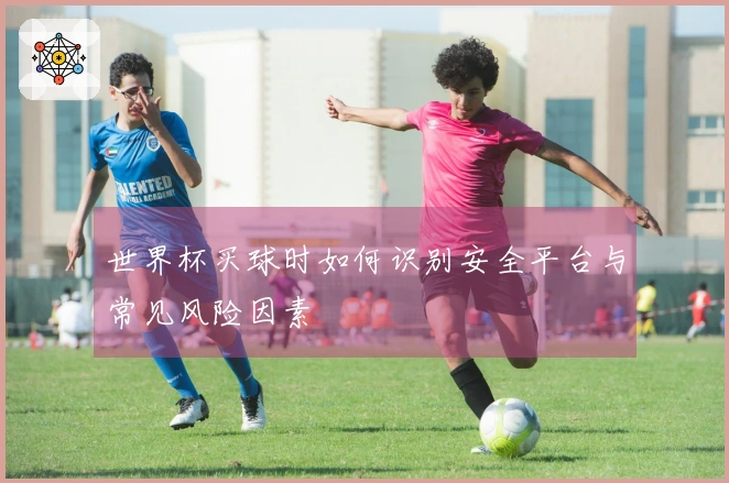 世界杯买球时如何识别安全平台与常见风险因素