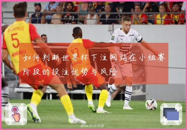如何判断世界杯下注网站在小组赛阶段的投注优势与风险