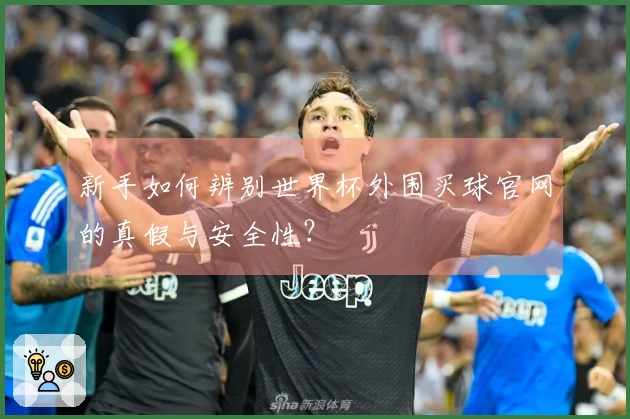 新手如何辨别世界杯外围买球官网的真假与安全性？