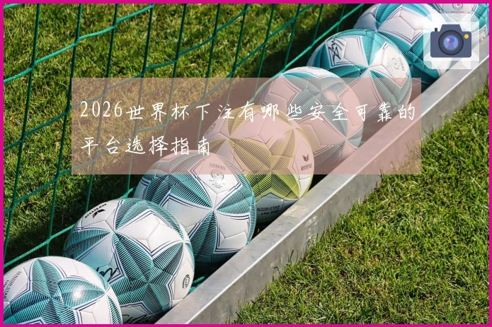 2026世界杯下注有哪些安全可靠的平台选择指南