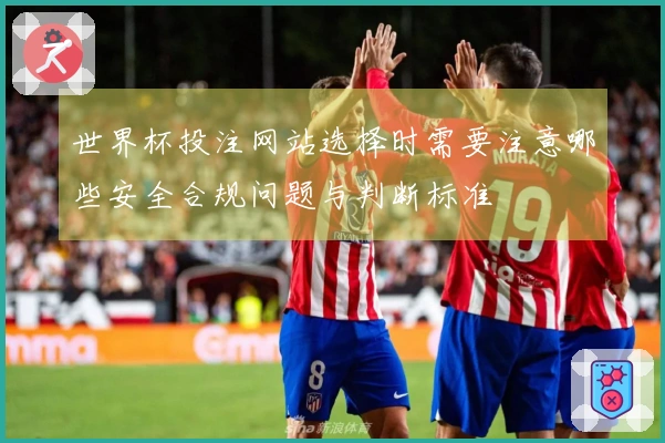 世界杯投注网站选择时需要注意哪些安全合规问题与判断标准