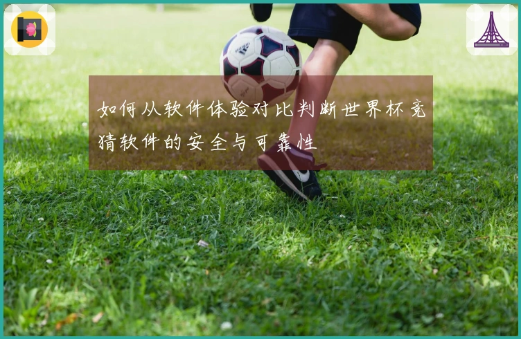 如何从软件体验对比判断世界杯竞猜软件的安全与可靠性