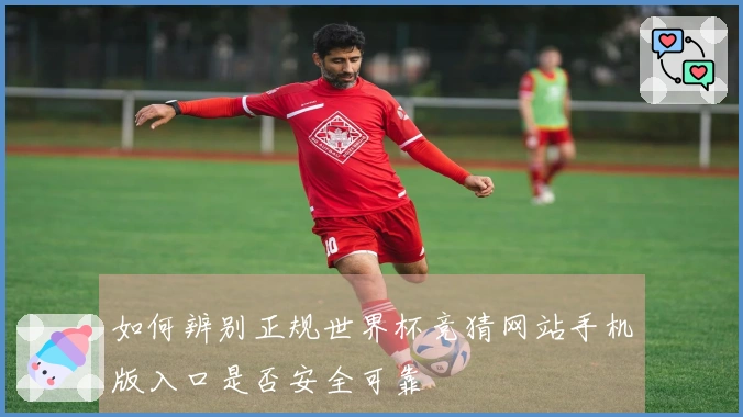 如何辨别正规世界杯竞猜网站手机版入口是否安全可靠