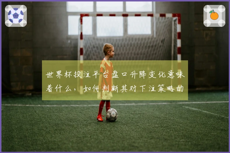世界杯投注平台盘口升降变化意味着什么，如何判断其对下注策略的影响？