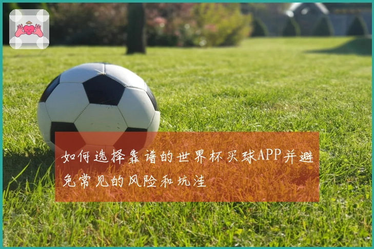 如何选择靠谱的世界杯买球APP并避免常见的风险和坑洼