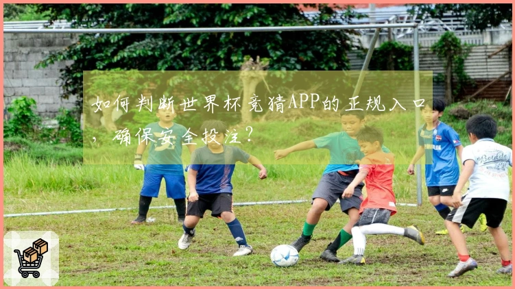 如何判断世界杯竞猜APP的正规入口，确保安全投注？