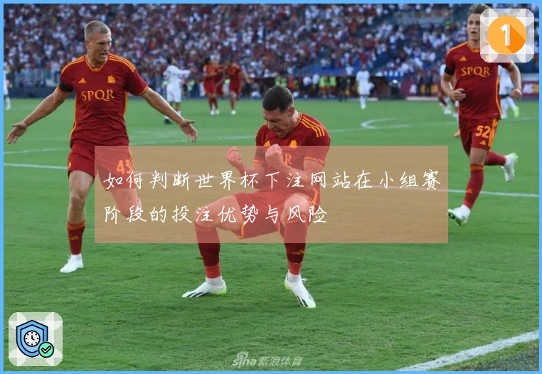 如何判断世界杯下注网站在小组赛阶段的投注优势与风险