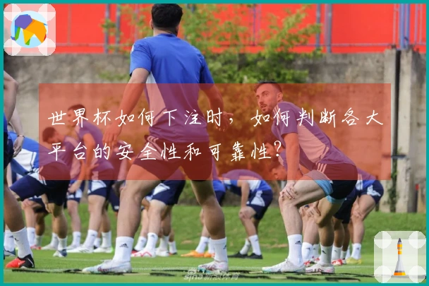 世界杯如何下注时，如何判断各大平台的安全性和可靠性？